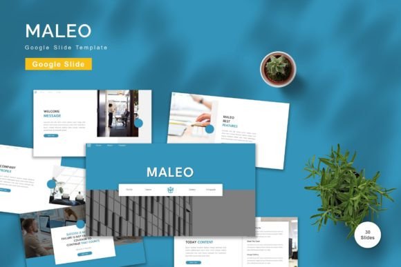 Maleo - Google Slide Template: Elevate Your Presentations with Professional Design