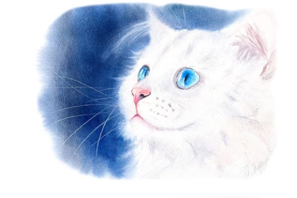 White Kitty Digital Prints PNG Files